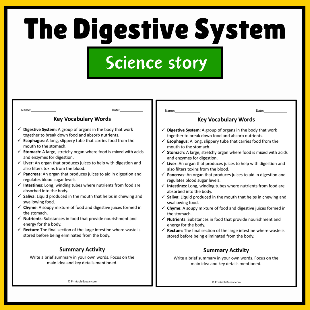 The Digestive System | Science Story Reading Comprehension Activity