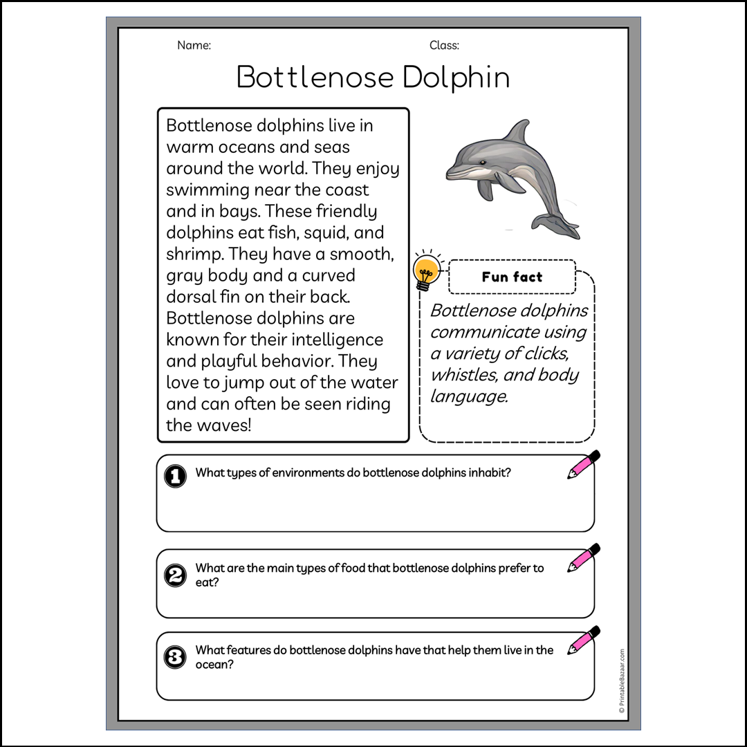 Bottlenose Dolphin | Reading Passage Comprehension Questions Writing Facts Worksheet