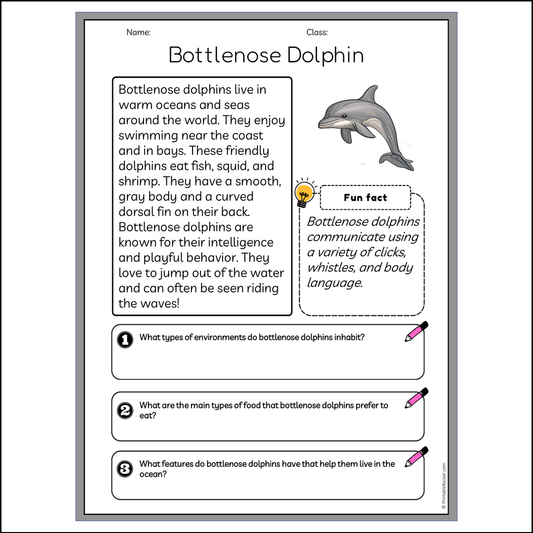 Bottlenose Dolphin | Reading Passage Comprehension Questions Writing Facts Worksheet