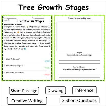 Tree Growth Stages | Short Reading Comprehension Creative Worksheet