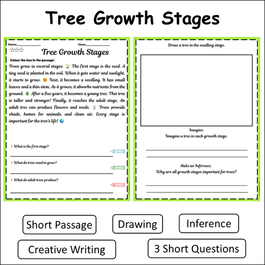 Tree Growth Stages | Short Reading Comprehension Creative Worksheet