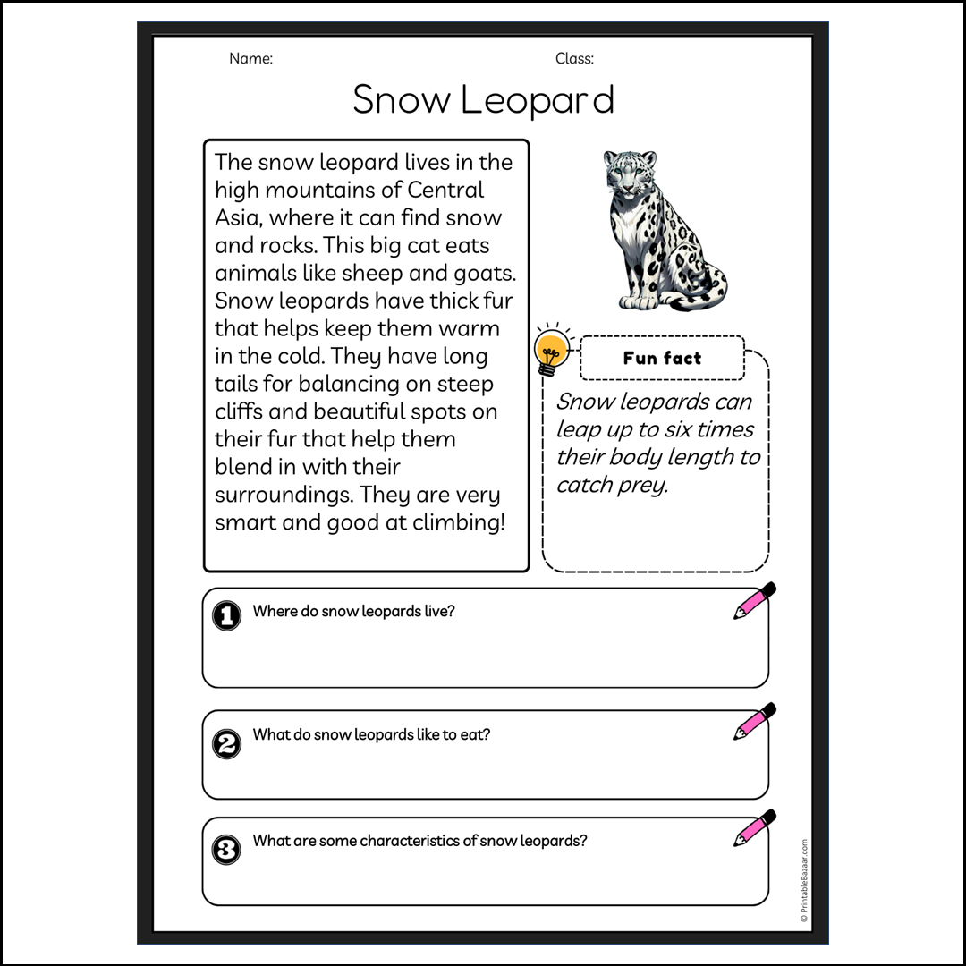 Snow Leopard | Reading Passage Comprehension Questions Writing Facts Worksheet