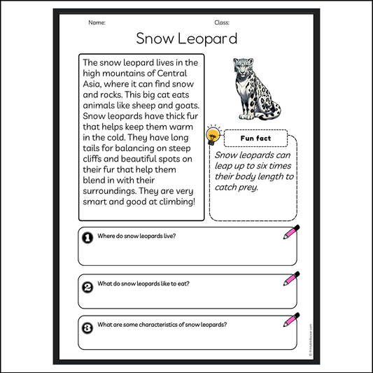 Snow Leopard | Reading Passage Comprehension Questions Writing Facts Worksheet