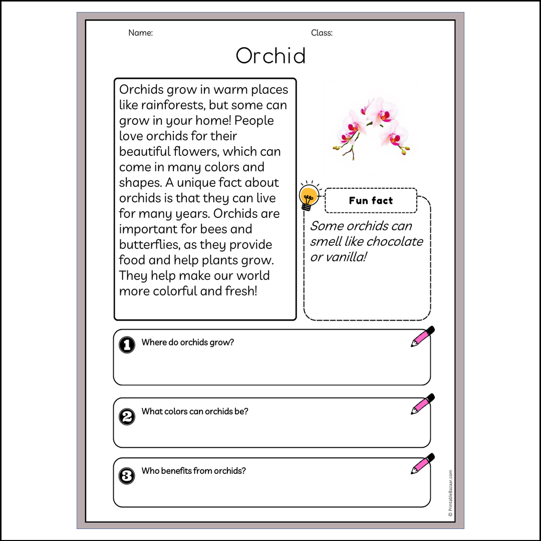 Orchid | Reading Passage Comprehension Questions Writing Facts Worksheet