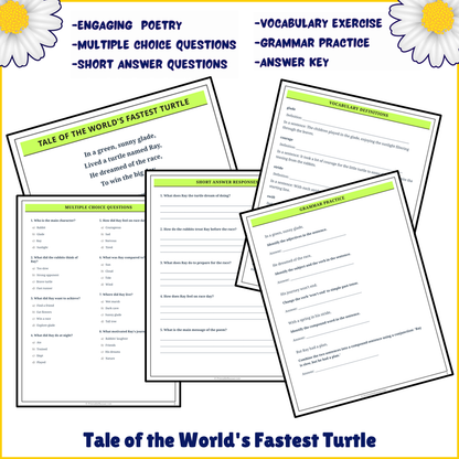 Tale of the World's Fastest Turtle | Poem Grammar Worksheet Printable Activity