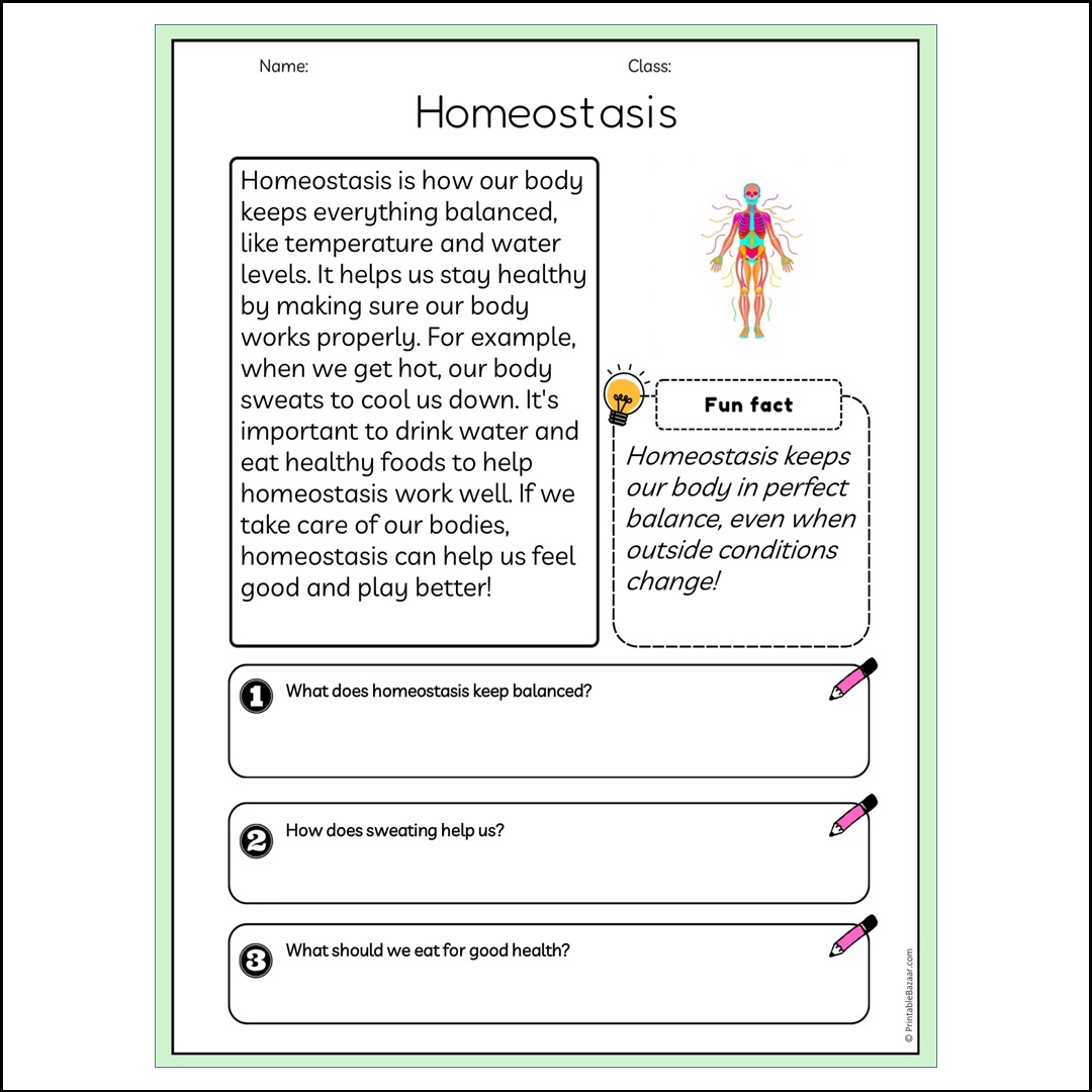 Homeostasis | Reading Passage Comprehension Questions Writing Facts Worksheet