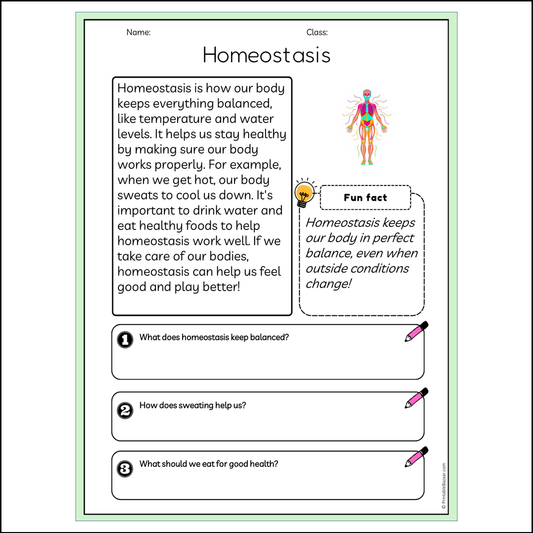 Homeostasis | Reading Passage Comprehension Questions Writing Facts Worksheet