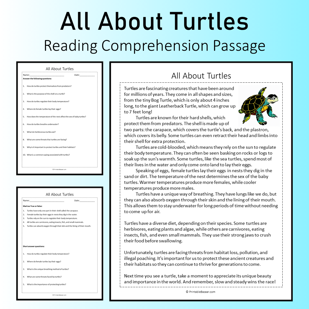 All About Turtles | Reading Comprehension Passage Printable Worksheet