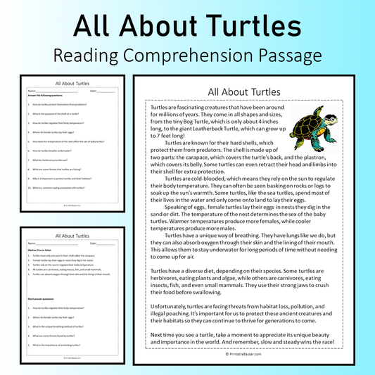 All About Turtles | Reading Comprehension Passage Printable Worksheet