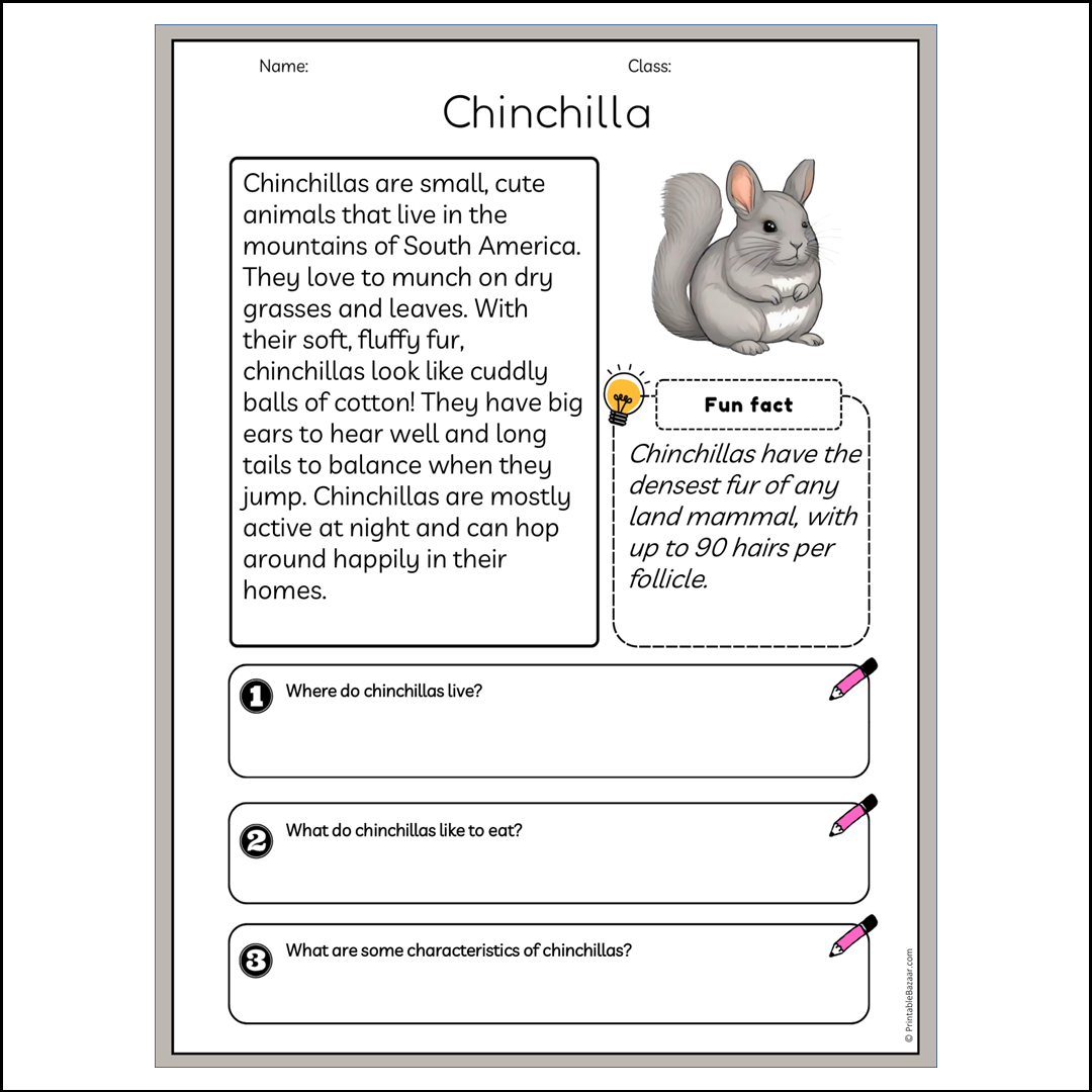 Chinchilla | Reading Passage Comprehension Questions Writing Facts Worksheet