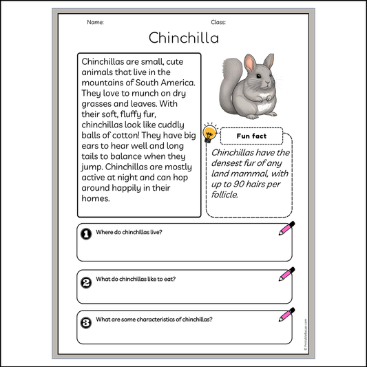 Chinchilla | Reading Passage Comprehension Questions Writing Facts Worksheet