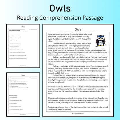 Owls | Reading Comprehension Passage Printable Worksheet