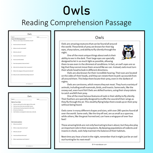 Owls | Reading Comprehension Passage Printable Worksheet
