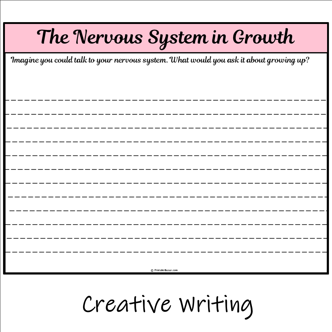 The Nervous System in Growth | Main Idea and Supporting Details Reading Passage and Questions