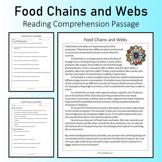 Food Chains and Webs | Reading Comprehension Passage Printable Worksheet
