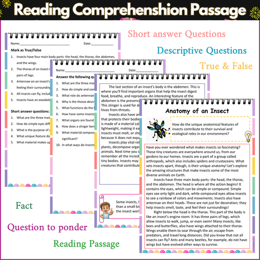 Anatomy of an Insect | Reading Comprehension Passage and Questions