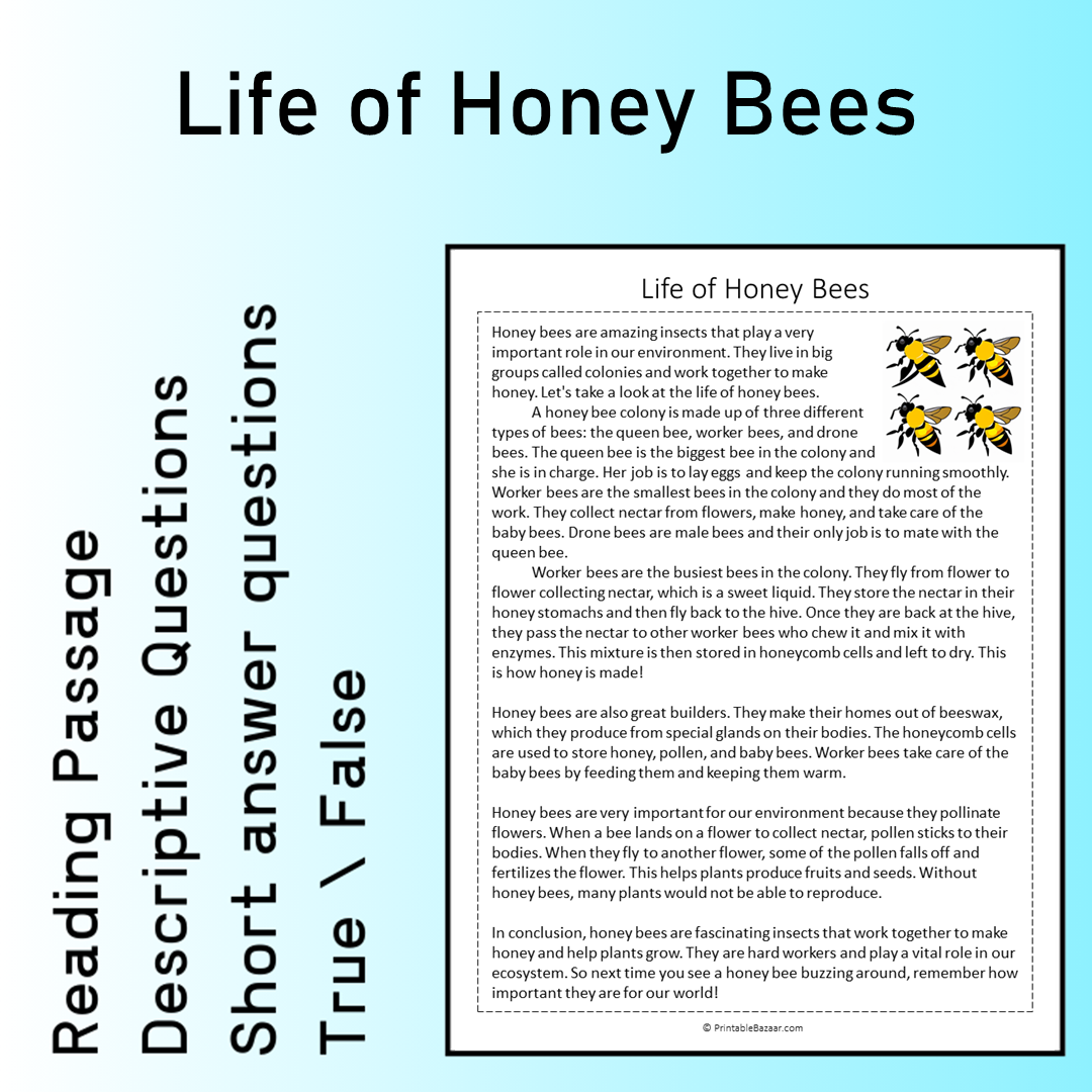 Life of Honey Bees | Reading Comprehension Passage Printable Worksheet