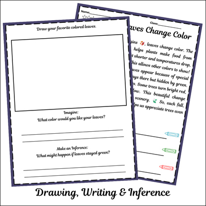 Why Leaves Change Color | Short Reading Comprehension Creative Worksheet