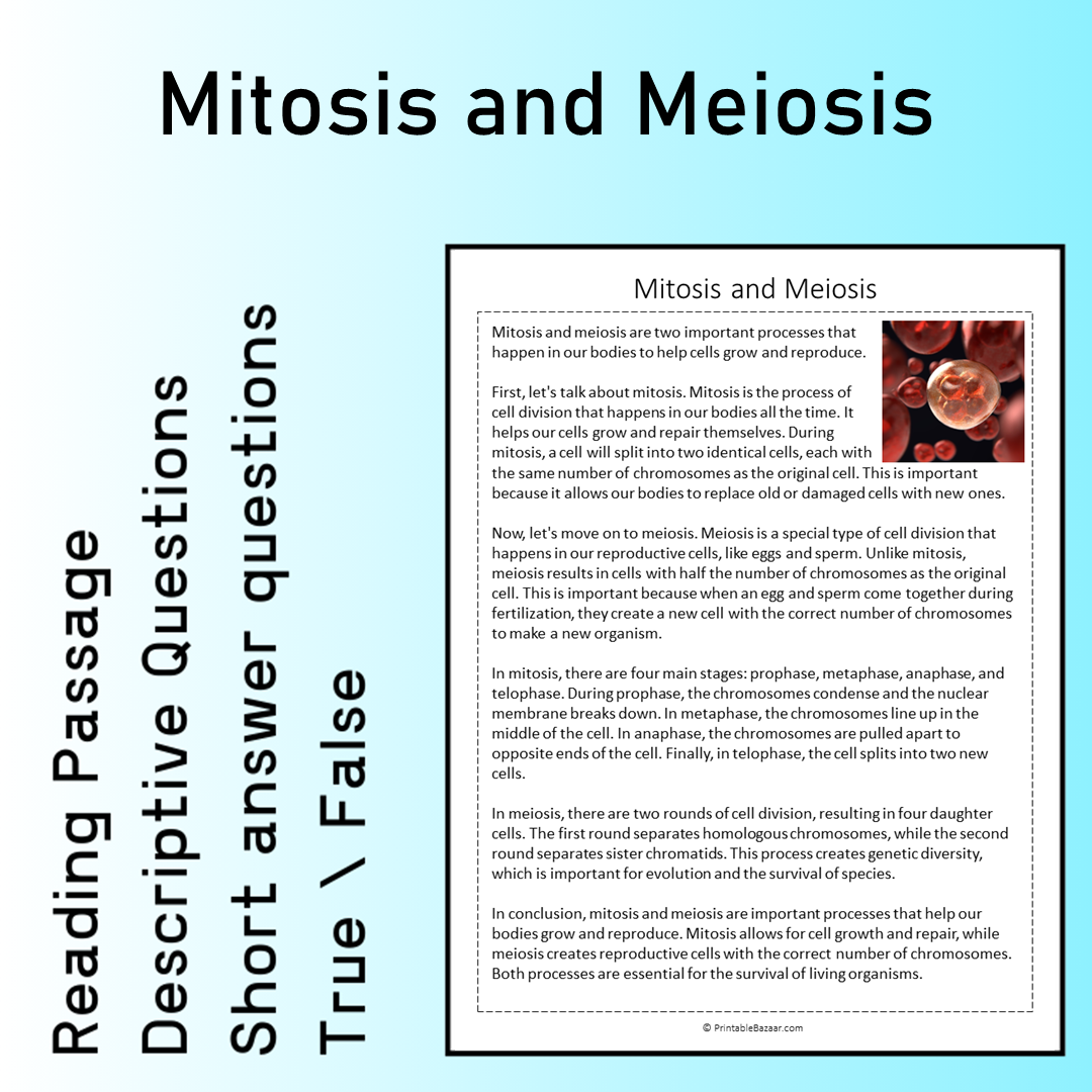 Mitosis and Meiosis | Reading Comprehension Passage Printable Worksheet