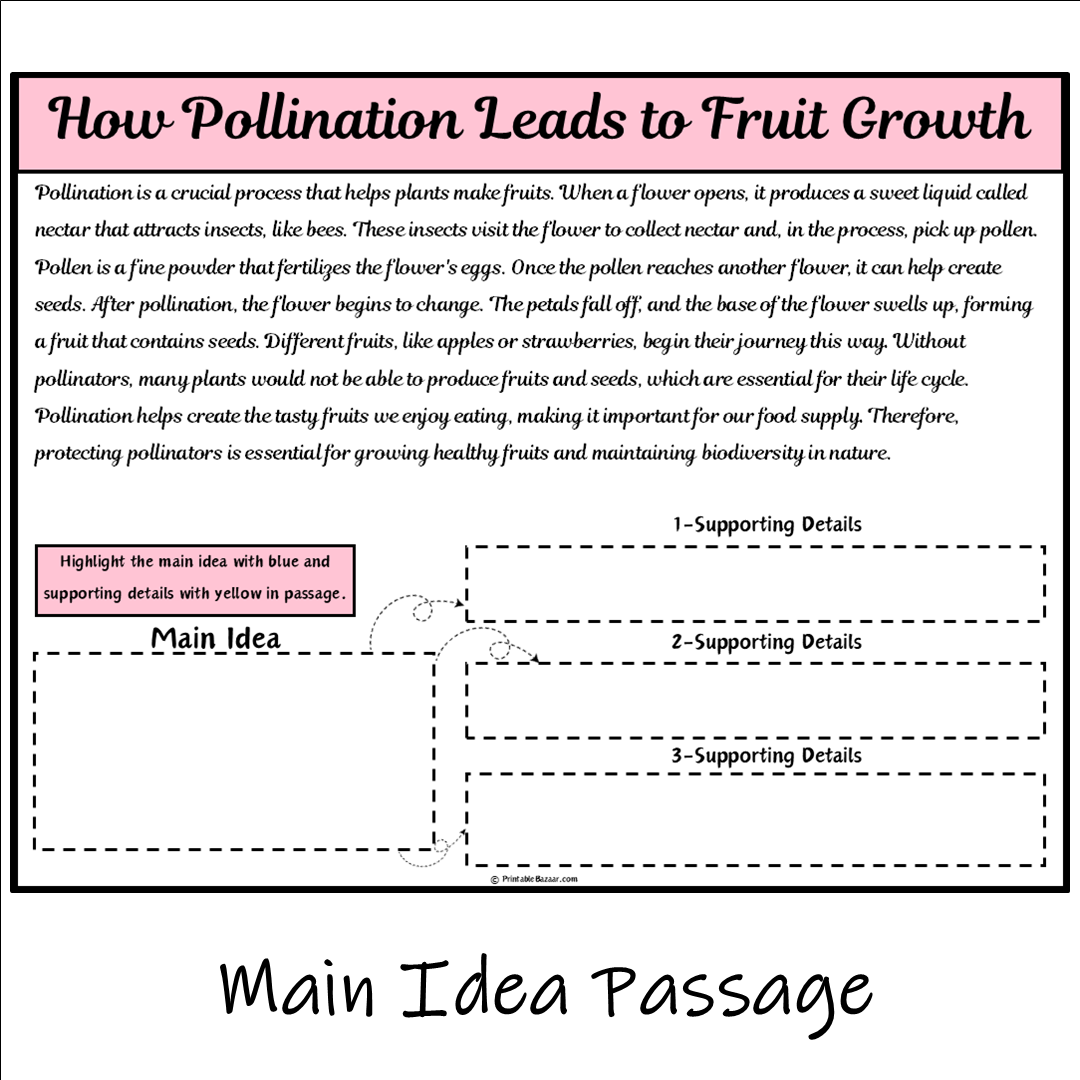 How Pollination Leads to Fruit Growth | Main Idea and Supporting Details Reading Passage and Questions