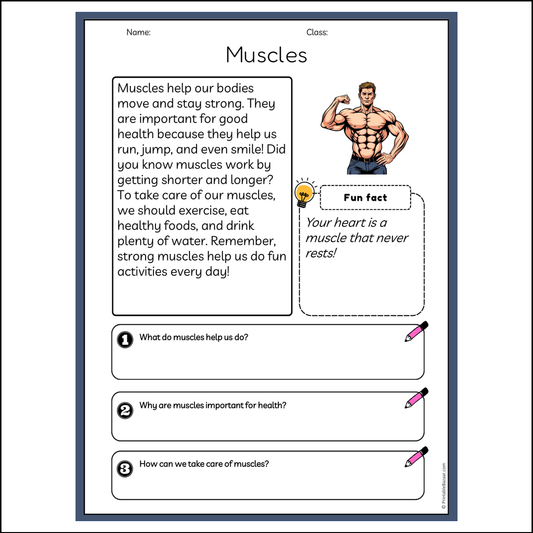 Muscles | Reading Passage Comprehension Questions Writing Facts Worksheet