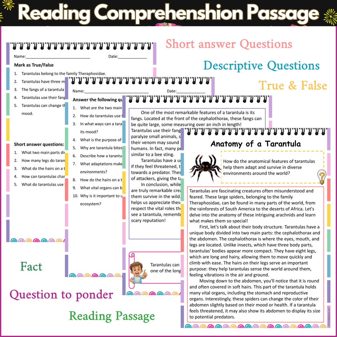 Anatomy of a Tarantula | Reading Comprehension Passage and Questions