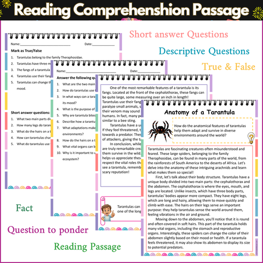 Anatomy of a Tarantula | Reading Comprehension Passage and Questions
