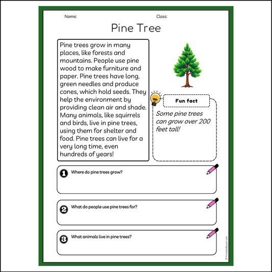 Pine Tree | Reading Passage Comprehension Questions Writing Facts Worksheet