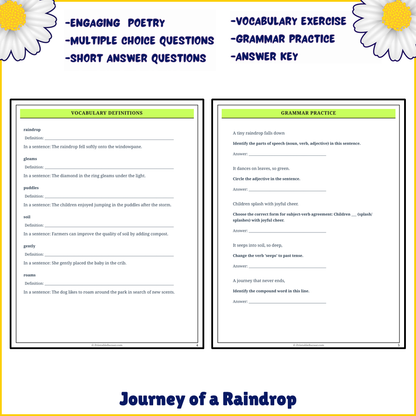 Journey of a Raindrop | Poem Grammar Worksheet Printable Activity