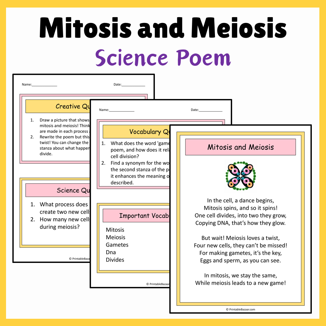 Mitosis and Meiosis | Science Poem Reading Comprehension Activity