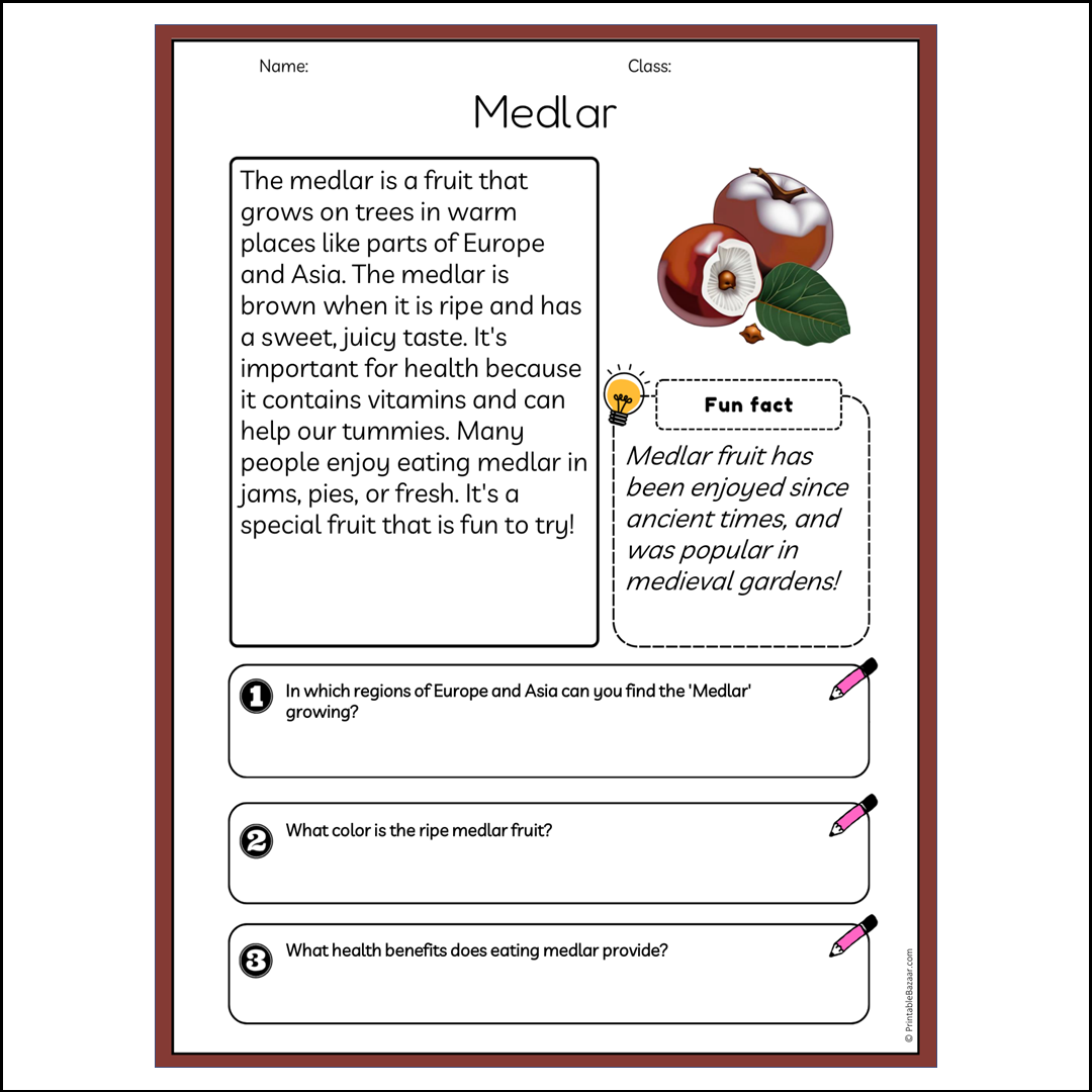 Medlar | Reading Passage Comprehension Questions Writing Facts Worksheet