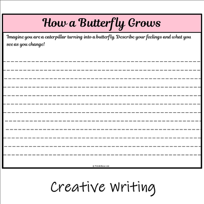 How a Butterfly Grows | Main Idea and Supporting Details Reading Passage and Questions