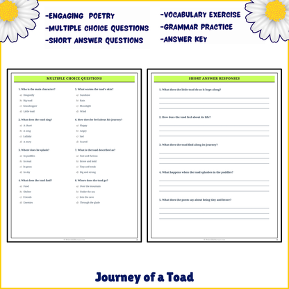 Journey of a Toad | Poem Grammar Worksheet Printable Activity