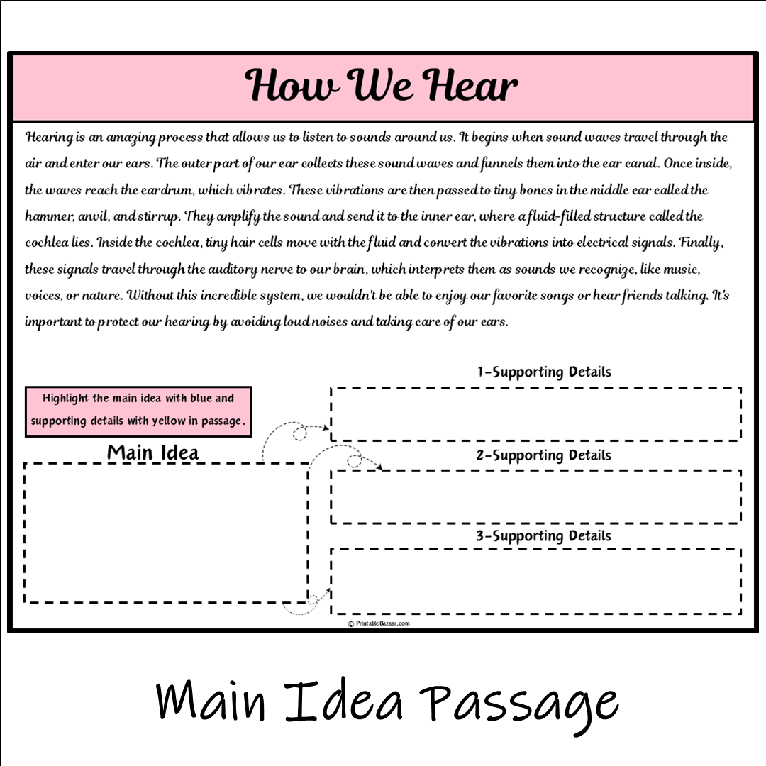 How We Hear | Main Idea and Supporting Details Reading Passage and Questions