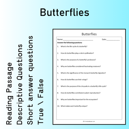 Butterflies | Reading Comprehension Passage Printable Worksheet