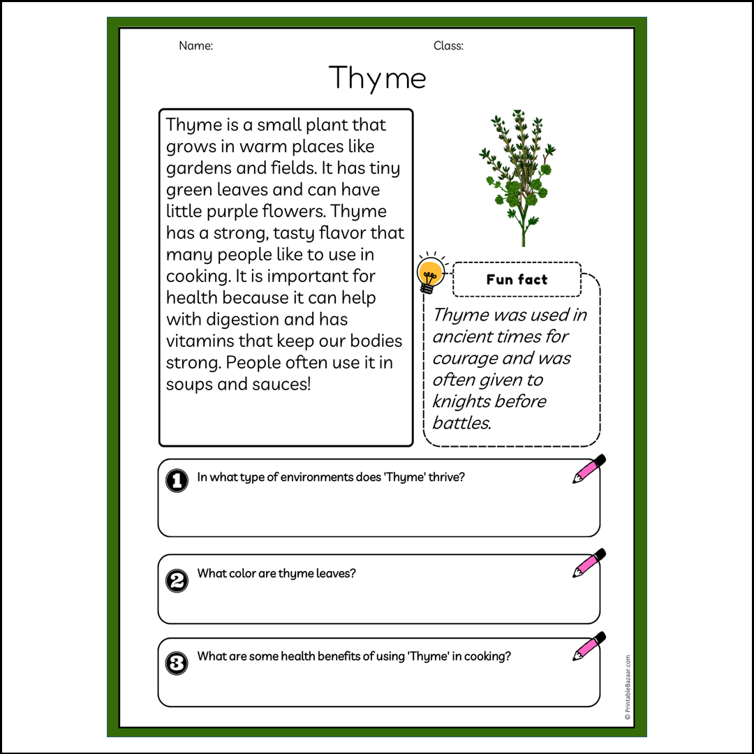 Thyme | Reading Passage Comprehension Questions Writing Facts Worksheet