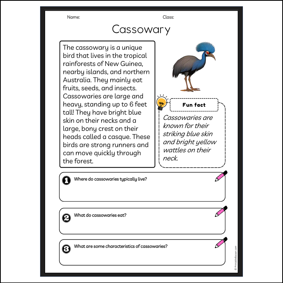 Cassowary | Reading Passage Comprehension Questions Writing Facts Worksheet