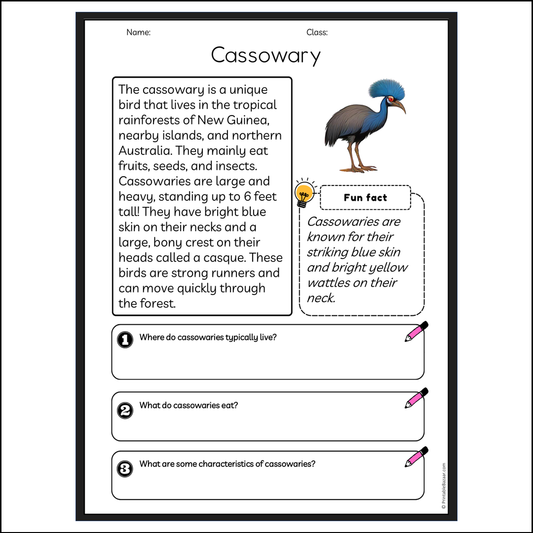 Cassowary | Reading Passage Comprehension Questions Writing Facts Worksheet