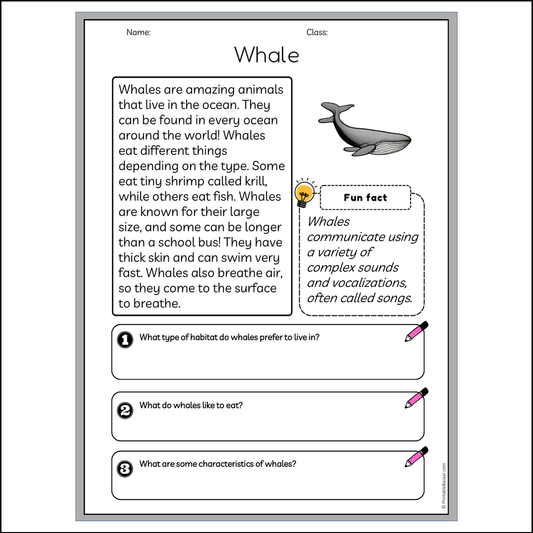 Whale | Reading Passage Comprehension Questions Writing Facts Worksheet