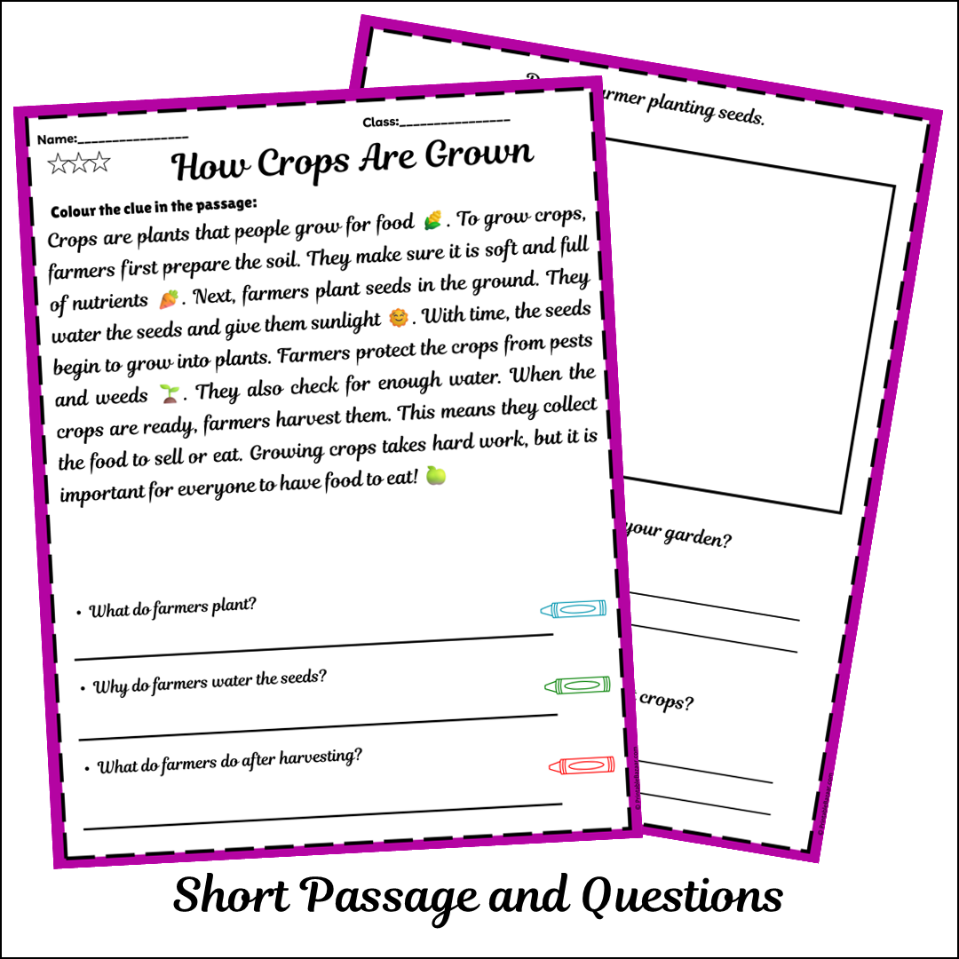 How Crops Are Grown | Short Reading Comprehension Creative Worksheet