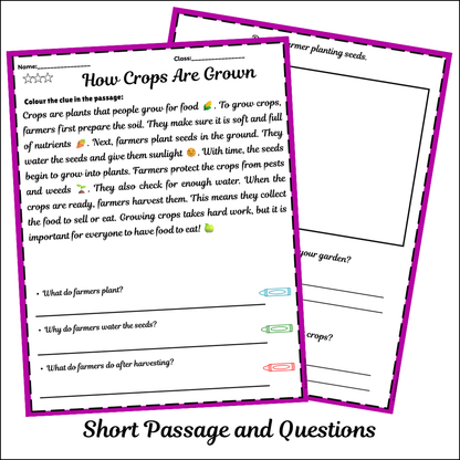 How Crops Are Grown | Short Reading Comprehension Creative Worksheet
