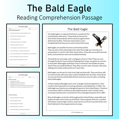 The Bald Eagle | Reading Comprehension Passage Printable Worksheet