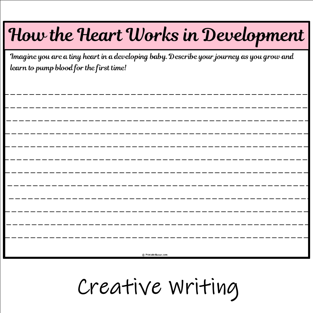 How the Heart Works in Development | Main Idea and Supporting Details Reading Passage and Questions