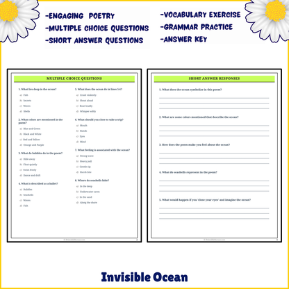 Invisible Ocean | Poem Grammar Worksheet Printable Activity
