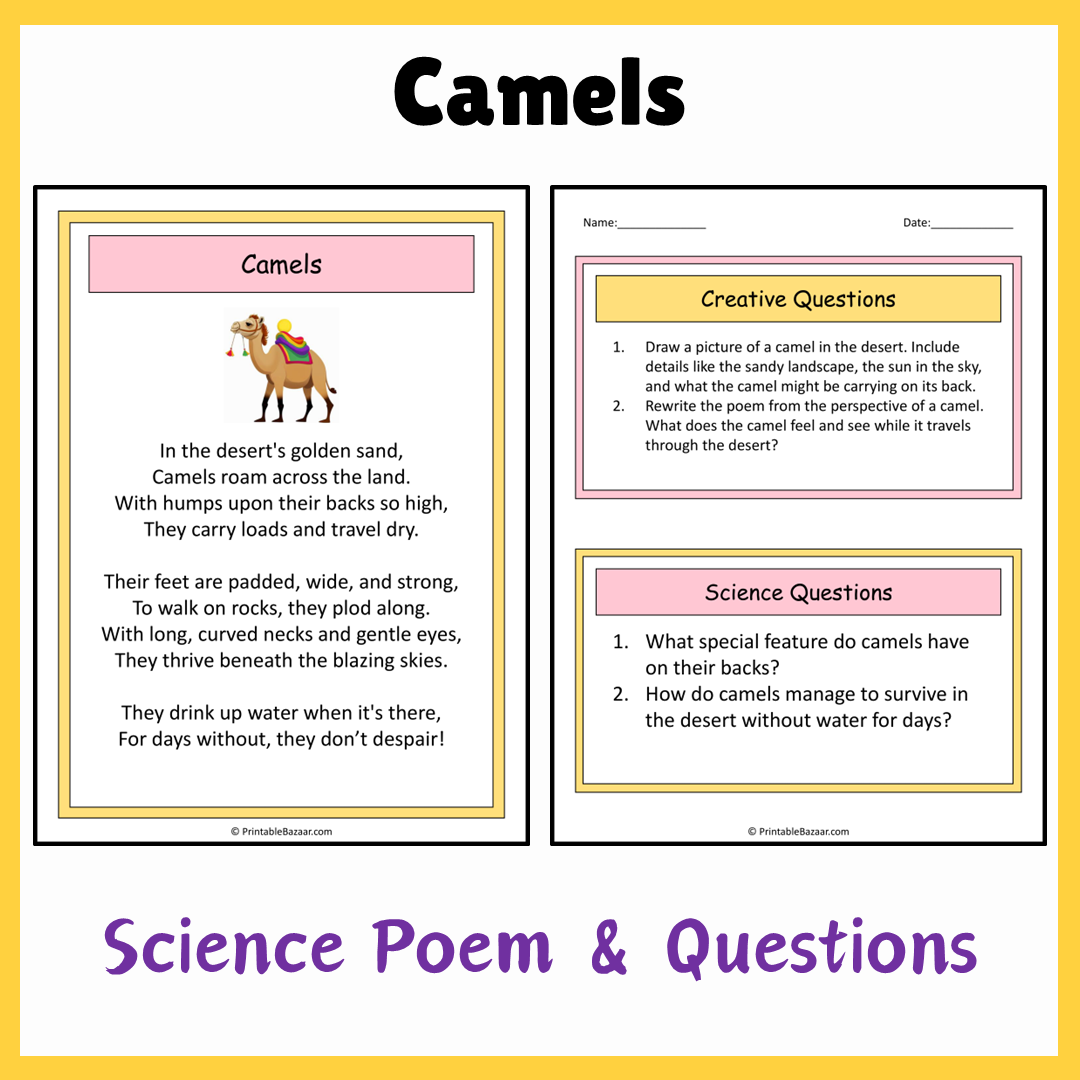 Camels | Science Poem Reading Comprehension Activity