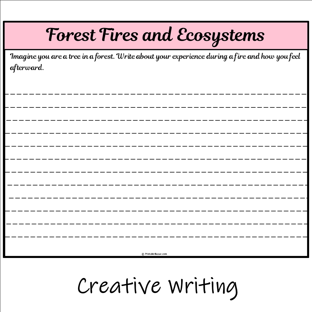 Forest Fires and Ecosystems | Main Idea and Supporting Details Reading Passage and Questions