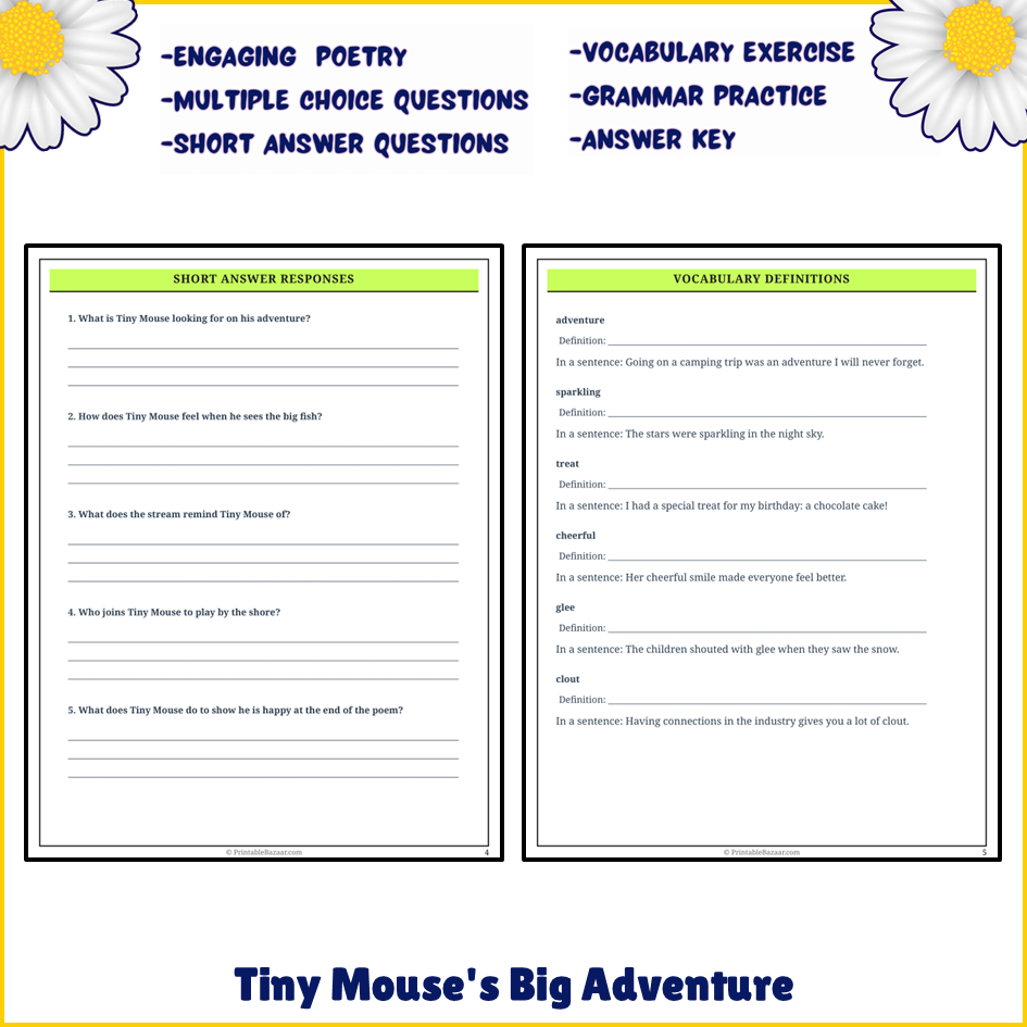 Tiny Mouse's Big Adventure | Poem Grammar Worksheet Printable Activity