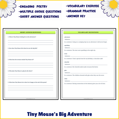 Tiny Mouse's Big Adventure | Poem Grammar Worksheet Printable Activity