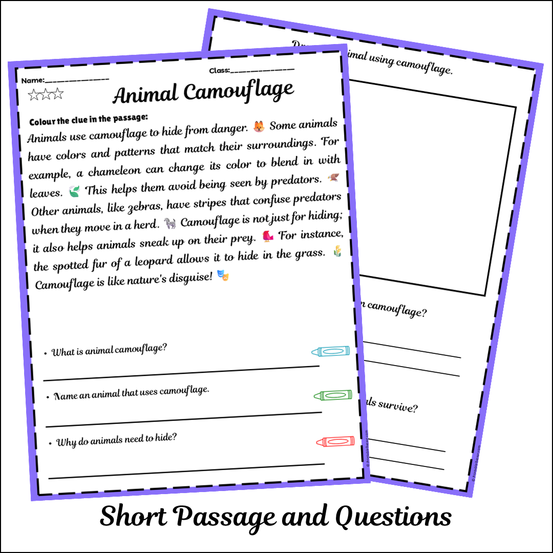Animal Camouflage | Short Reading Comprehension Creative Worksheet