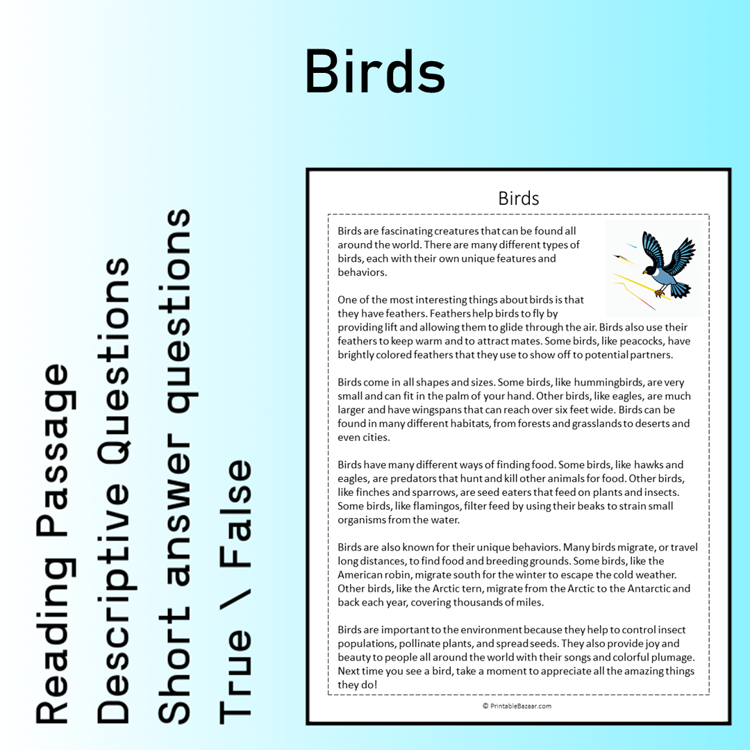 Birds | Reading Comprehension Passage Printable Worksheet